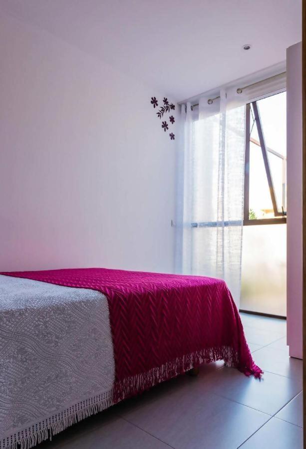 Casa Rural Vina Vella Esteiro エクステリア 写真