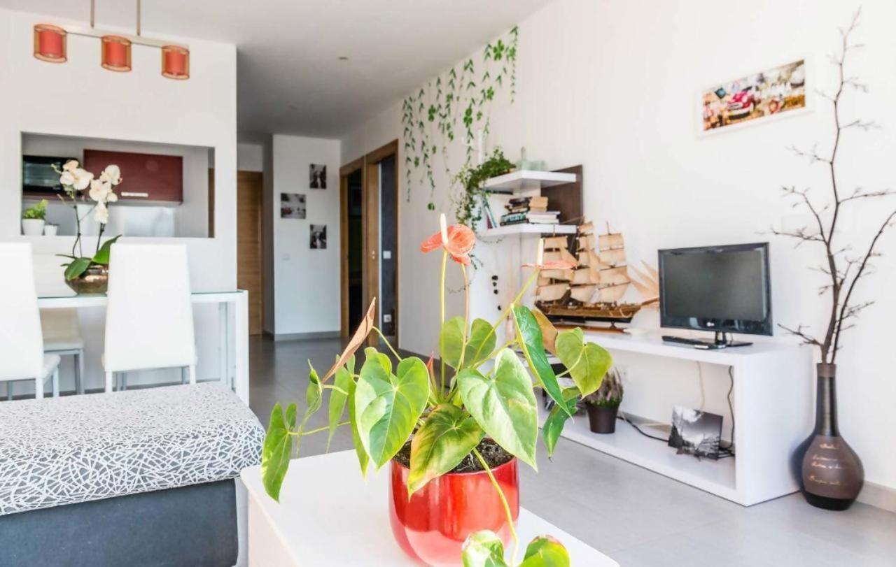 Casa Rural Vina Vella Esteiro エクステリア 写真